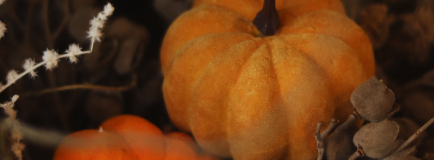 🎃 Octubre: el mes más tenebroso… ¡y creativo!