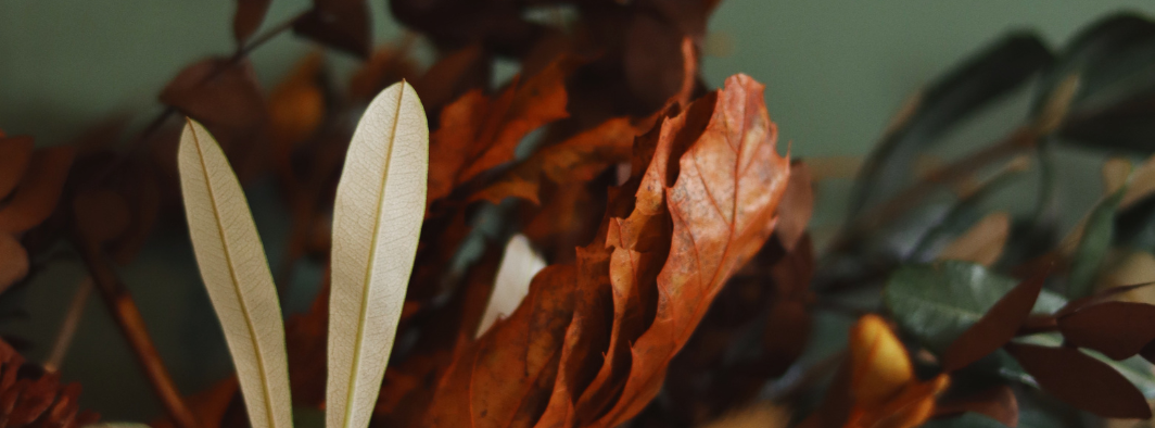 ¿Tu negocio floral está listo para cerrar fuerte el año?