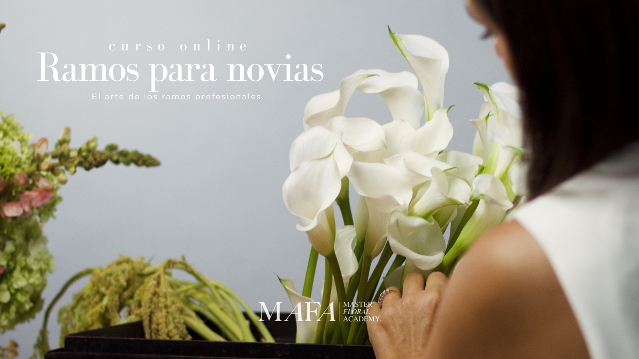 ¿Ramos para Novia? Descubre todo de ello